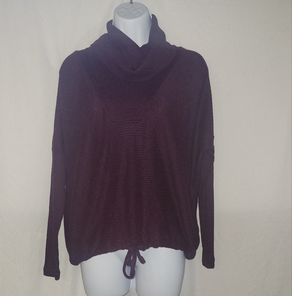 Express Women's Deep Purple Cowl Neck Sweater